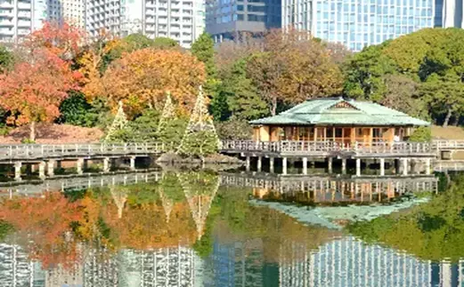 庭師の匠の技！　～都立庭園 伝統技能見学会 開催のご案内～