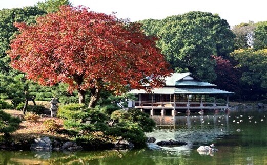 庭師の匠の技！　～都立庭園 伝統技能見学会 開催のご案内～