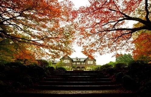 庭師の匠の技！　～都立庭園 伝統技能見学会 開催のご案内～