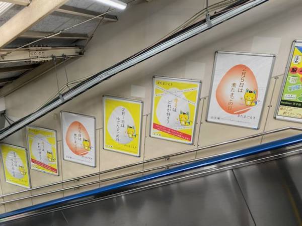 ブランドたまご食べ比べ！幻の卵屋さんが王子駅と松屋銀座に出現します