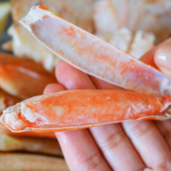 ＼夏のたび福袋／蟹やお寿司など、みんなで食べたいグルメが大集合！7月15日10時より発売【旅する久世福e商店】