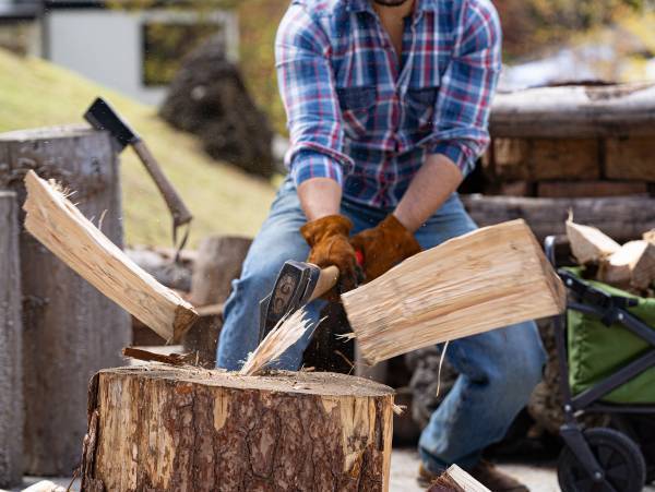 期間限定/平日限定　持ち込みプランスタート　～大自然の森の中で、楽しむ自由でおトクな持ち込みグランピング～