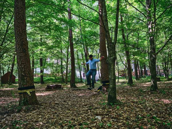 期間限定/平日限定　持ち込みプランスタート　～大自然の森の中で、楽しむ自由でおトクな持ち込みグランピング～