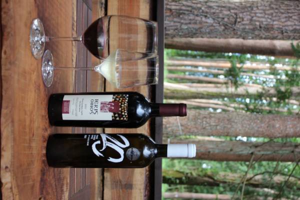 期間限定/平日限定　持ち込みプランスタート　～大自然の森の中で、楽しむ自由でおトクな持ち込みグランピング～