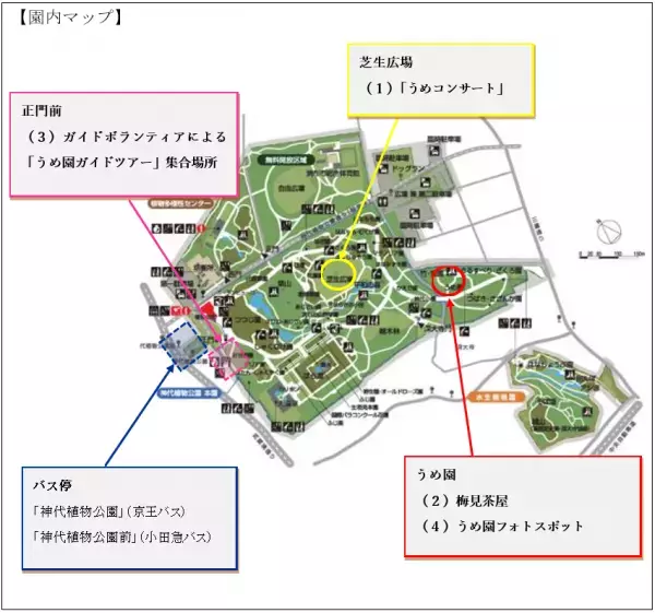 【いよいよ来週スタート！】神代植物公園「梅まつり」のお知らせ〈２月14日（火）～3月5日（日）〉