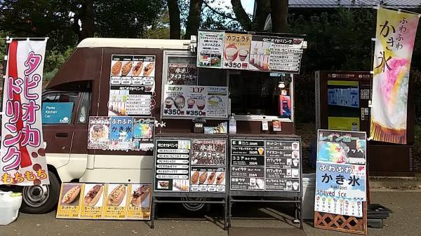 【葛西臨海公園】＜7/14㈮～8/13㈰まで＞大観覧車を背景に約３万本のひまわりをライトアップ！夏の葛西臨海公園で「花と光のムーブメント」開催。