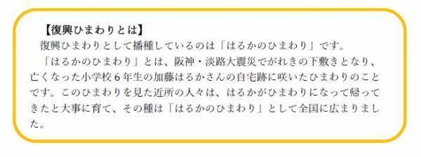 【葛西臨海公園】＜7/14㈮～8/13㈰まで＞大観覧車を背景に約３万本のひまわりをライトアップ！夏の葛西臨海公園で「花と光のムーブメント」開催。