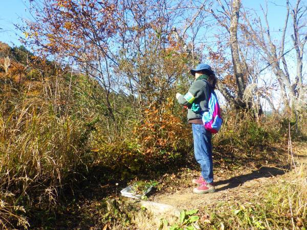 【12/10（日）開催！】小峰公園『里山季節めぐり』～初冬の里山ガイドウォークとミニツリーづくり～