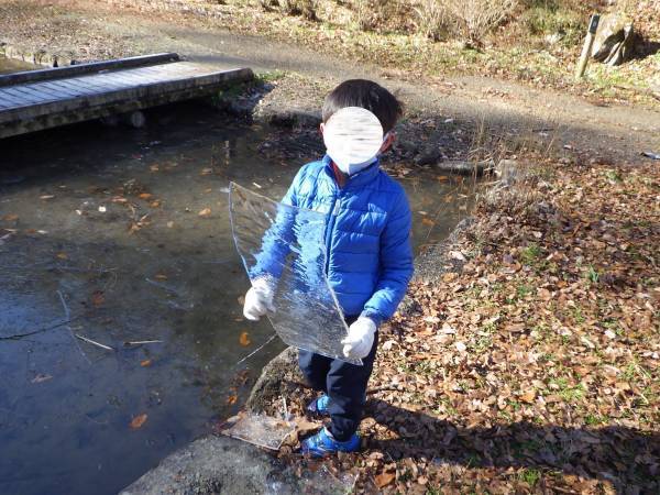【12/10（日）開催！】小峰公園『里山季節めぐり』～初冬の里山ガイドウォークとミニツリーづくり～