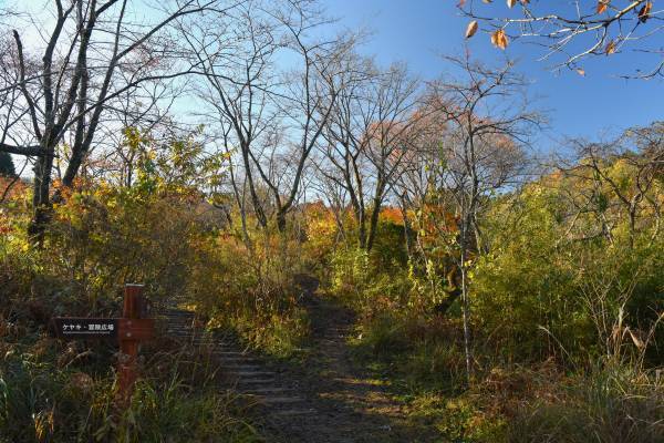 【12/10（日）開催！】小峰公園『里山季節めぐり』～初冬の里山ガイドウォークとミニツリーづくり～