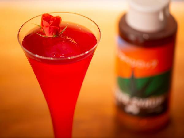 いま注目の低GI甘味料「アガベシロップ」を使ったカクテルレシピを5月25日(木)公開しました。日本を代表するオーセンティックバー「毛利バー」とのコラボ企画【株式会社クインビーガーデン】