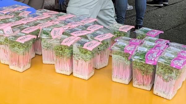 2023門真市農業まつりで大阪国際大学短期大学部栄養学科海老澤セミナーが出展