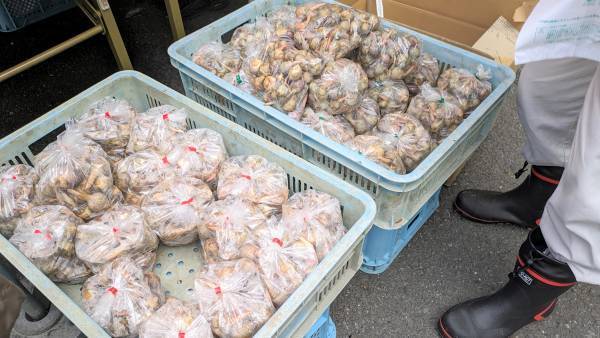 2023門真市農業まつりで大阪国際大学短期大学部栄養学科海老澤セミナーが出展