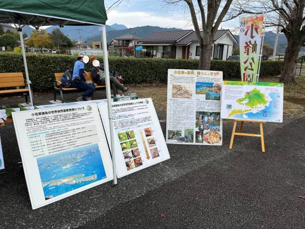 11/12（日）【小峰公園】で「秋の収穫市」を開催いたします！