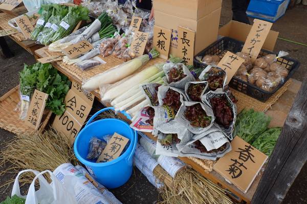 11/12（日）【小峰公園】で「秋の収穫市」を開催いたします！