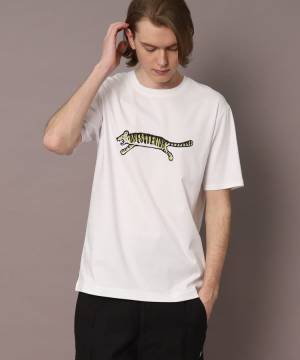 DRESSTERIOR（ドレステリア）接触冷感、抗菌防臭、消臭機能をコットン100％にて完成させたアイスクリアコットン素材シリーズを発売