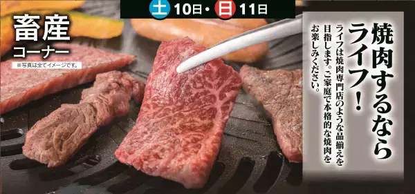 【首都圏ライフ】おかげさまで300店舗突破！お客様に感謝の気持ちを込めて、6月10日（土）・11日（日）に『大感謝祭』を開催！