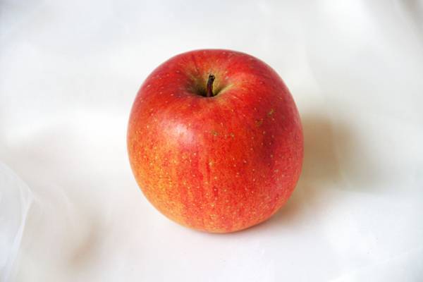 群馬県物産展「ぐんま直送便」を西武池袋本店で開催します！