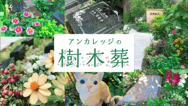 「アンカレッジの樹木葬」京都２庭苑で新区画のご案内を開始