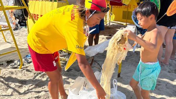 4者協働事業となる美しい海の保全と意識醸成を目指す「下田市の海浜回収ペットボトルアップサイクルプロジェクト」2023年度終了報告