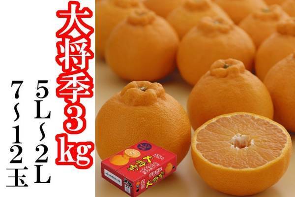 産地直送通販サイト「ＪＡタウン」の「ＪＡ鹿児島県経済連　鹿児島の味『ふるさと便』」で国産農畜産物のお客様送料負担なしキャンペーン開催中！