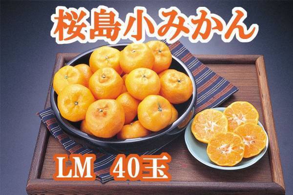 産地直送通販サイト「ＪＡタウン」の「ＪＡ鹿児島県経済連　鹿児島の味『ふるさと便』」で国産農畜産物のお客様送料負担なしキャンペーン開催中！