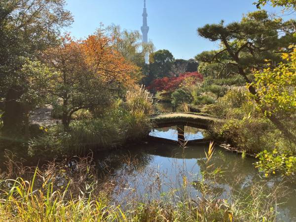 【都立文化財9庭園】紅葉の見ごろをお知らせします！
