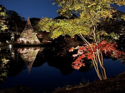 【都立文化財9庭園】紅葉の見ごろをお知らせします！