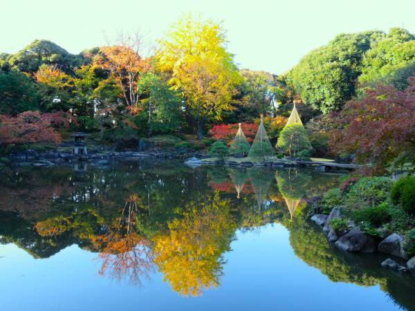 【都立文化財9庭園】紅葉の見ごろをお知らせします！