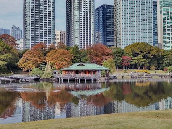 【都立文化財9庭園】紅葉の見ごろをお知らせします！