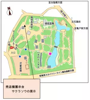 【向島百花園】～江戸の花園で春を満喫～ 『サクラソウの展示』≪４月19日（水）～４月23日（日）≫