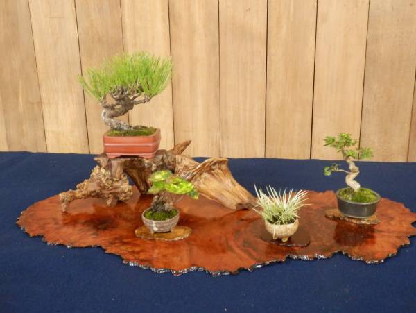 【殿ヶ谷戸庭園】11/3～「秋の催し」開催