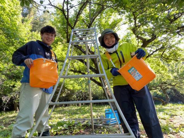 【募集中：安中市地域おこし協力隊】碓氷製糸と地域を結ぶ、「結び人」求む！