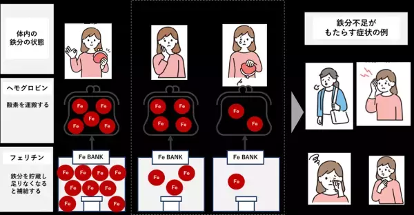 弘前大学・京都大学との共同研究で健康ビックデータから『女性のメンタル不調』に『鉄分不足』が関係していることを確認