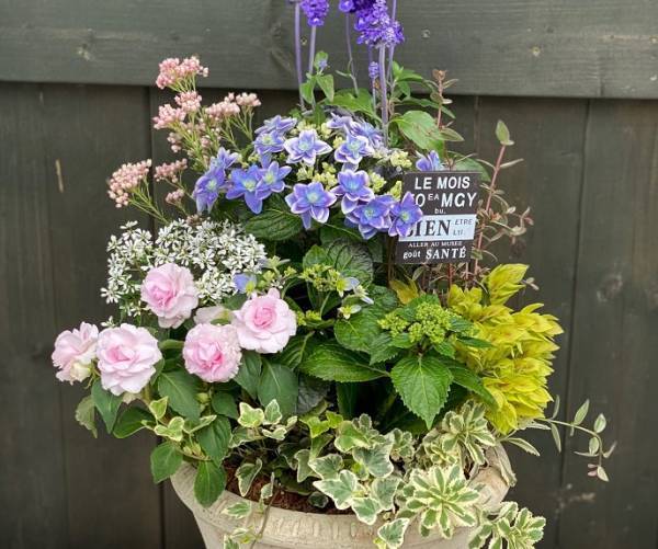 ガーデニング初心者向けの 「花の楽しみ方」オンライン動画コンテンツ講座を９月より配信開始予定