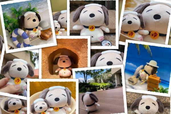 SPA＆HOTEL舞浜ユーラシア公式キャラクター【ユーラシわん】ぬいぐるみ！発売決定！