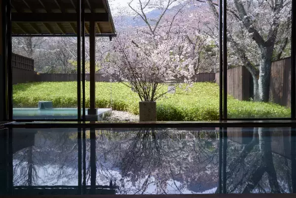 【界】見頃を逃さず春を満喫できる「界の花見温泉」開催 〜2023年は湯浴み前後を楽しむことができるアイテムも登場〜 施設：界 21 施設｜期間：2023年3月26日〜4月8日