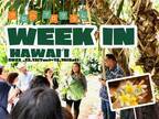 【ハワイが好きなメンバーが現地で繋がる特別ツアー】 他では味わえないハワイを体験できる 「アロハプログラム Week in ハワイ2023」が3年ぶりに開催決定！