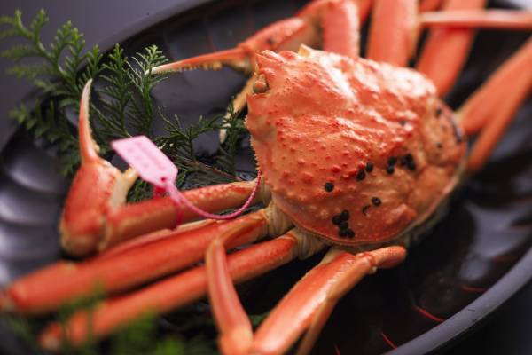 【蟹創作会席を愉しむ】お食事処「風水」が一新。インクルーシブスタイルへ。夕日ヶ浦温泉「佳松苑 別邸ふうか」