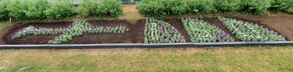 武蔵野中央公園『ガーデンショーはなまつり2023』10月7日（土）・10月8日（日）開催！