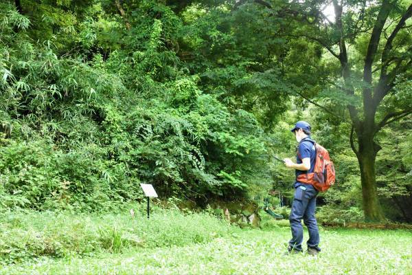 小峰公園スタッフと歩く「昆虫の里」～夏のチョウをさがそう！～ 7/19(水)・7/22(土) 開催！