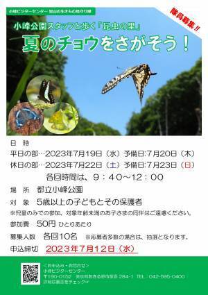 小峰公園スタッフと歩く「昆虫の里」～夏のチョウをさがそう！～ 7/19(水)・7/22(土) 開催！