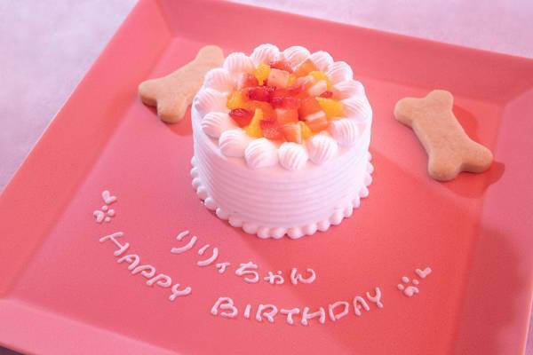 『愛するワンちゃんとフレンチ満喫プラン』 9 月 1 日（ 金 ）より提供開始