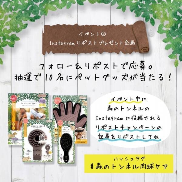 日本最大級のペット同伴可能イベント「インターペット2023」に 『森のトンネル』が出展！かわいいフォトブース「肉球ペットサロン」