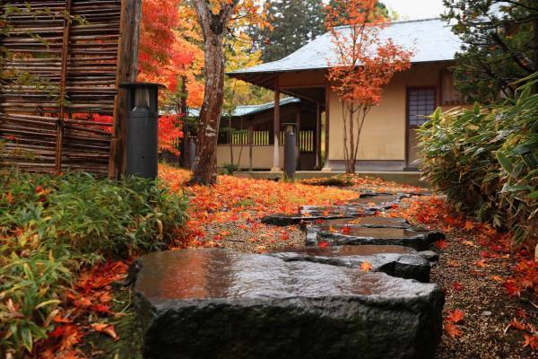 【界 津軽】～職人、生産者と行うご当地文化体験「手業(てわざ)のひととき」3年目に突入～「津軽三味線の達人技に触れる体験」開催｜期間：2023年3月1日～2024年2月29日