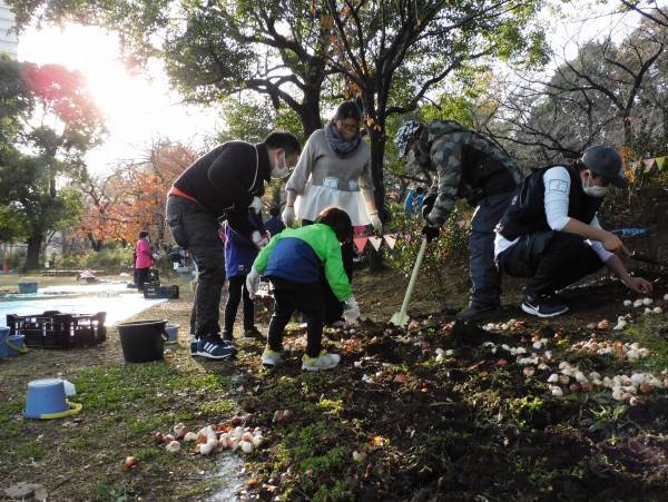 【浮間公園】UkiUkiガーデンワークショップ2023『チューリップの球根を植えよう』のご案内