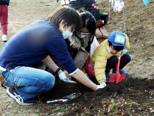 【浮間公園】UkiUkiガーデンワークショップ2023『チューリップの球根を植えよう』のご案内