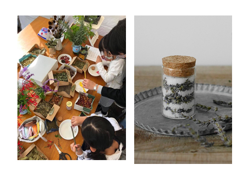 【代々木公園】１０月１５日（日）東京パークガーデンアワード ガーデンフェスティバル開催！！