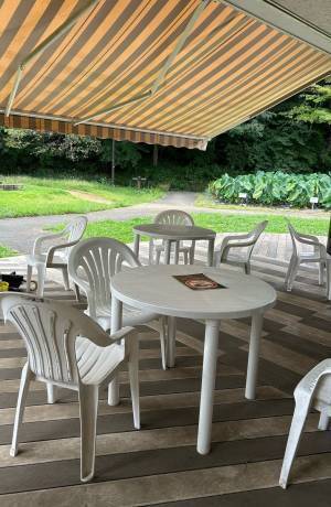 「里山アウトドアオフィス」10月に小山内裏公園・桜ヶ丘公園で実証実験を行います。