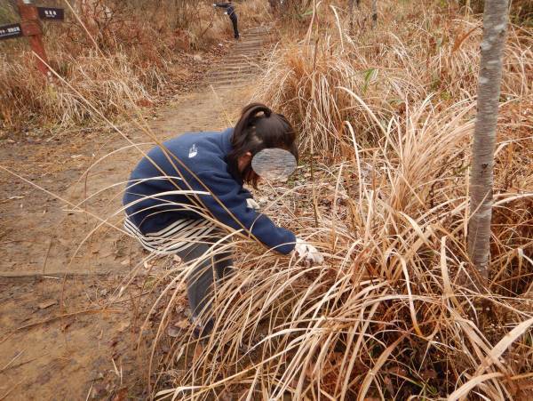小峰公園「里山季節めぐり」小さな炭俵づくり体験2月26日（日）開催！応募受付中です